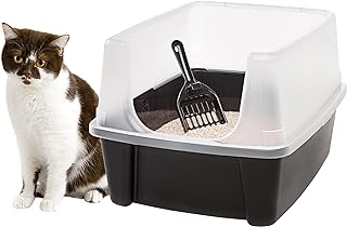 Best cat litter box