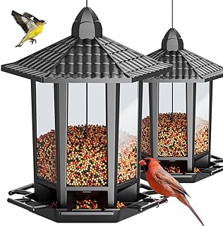 Best bird feeders