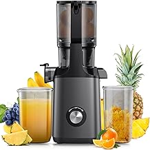 Best juicer machines vegetable and fruit