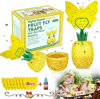 Best gnat and fruit fly trap indoor