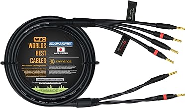 Best worlds cables biwire