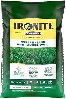 Best evergreen fertilizer 18-5-0 with iron