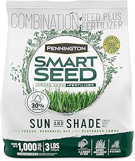 Best grass seeds