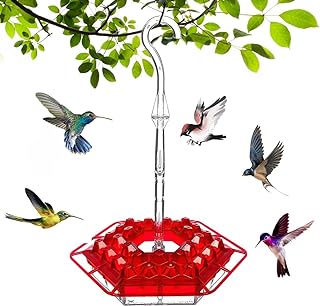 Best bobs hummingbird feeder