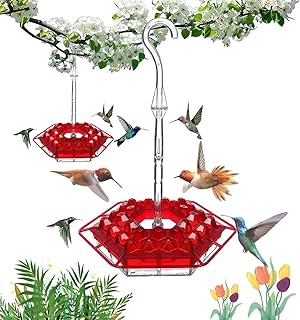 Best worlds hummingbird feeder